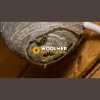 Woolmer Pest Control