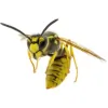 Gavlars Pest Control