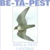 BE-TA-Pest