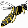 Vertech Pest Control Services