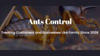 Ants Control